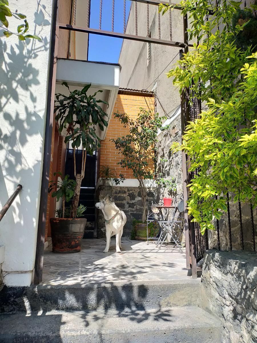 Casa en venta · Colina del Sur, Álvaro Obregón, Ciudad de México