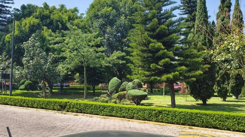 Foto 19