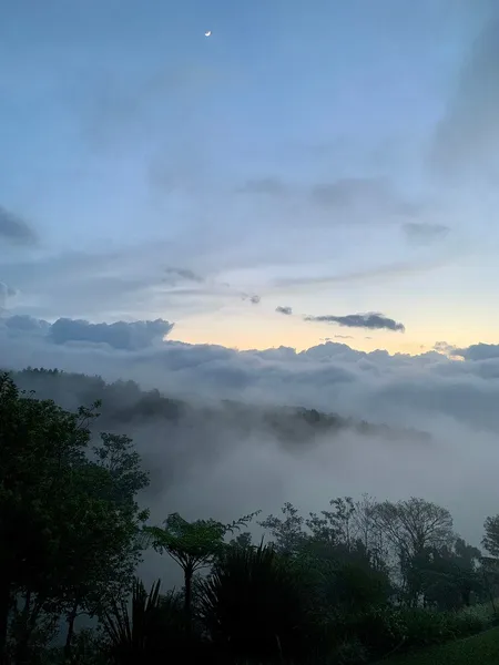 Foto 42