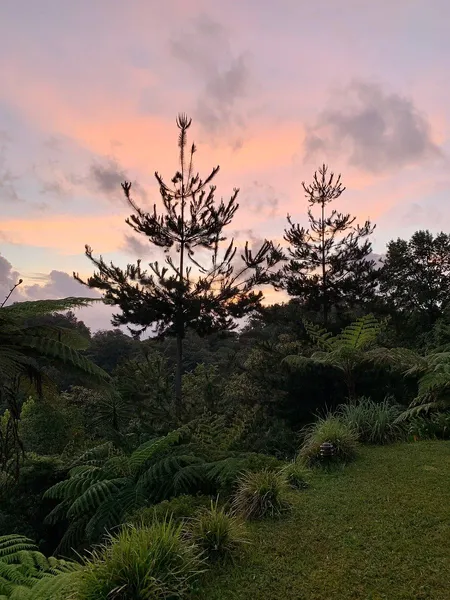 Foto 46
