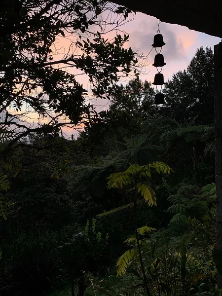 Foto 44