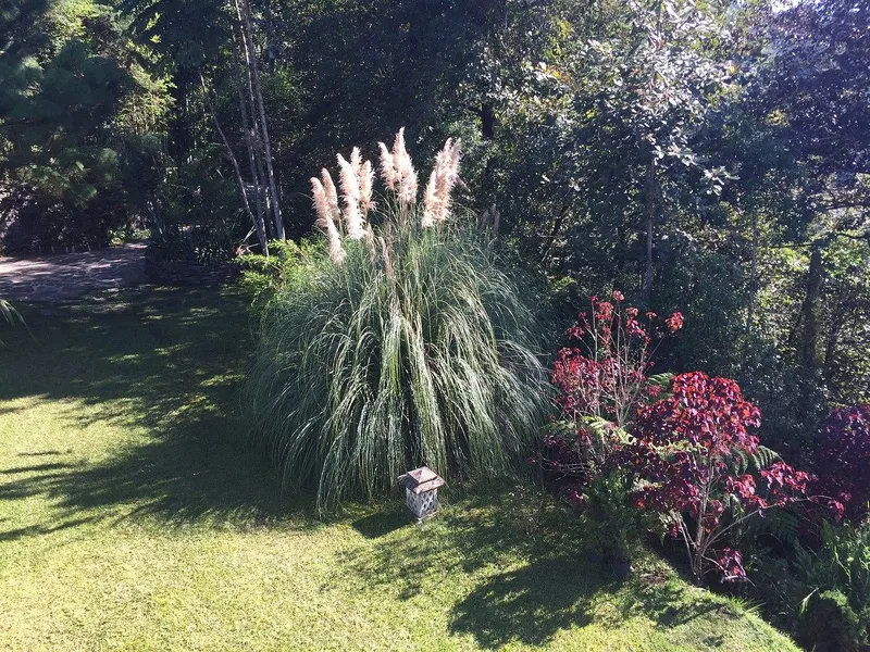 Foto 45