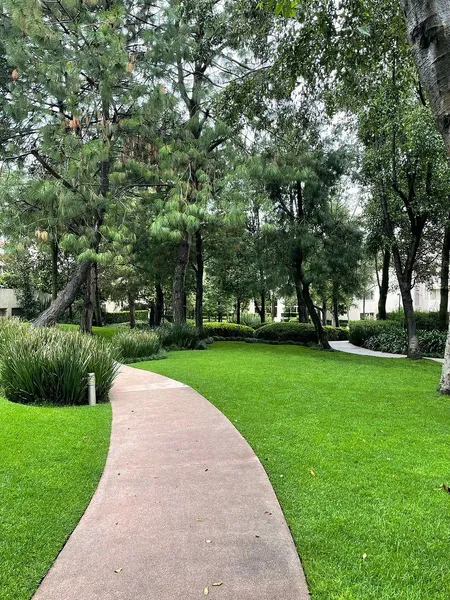 Foto 20