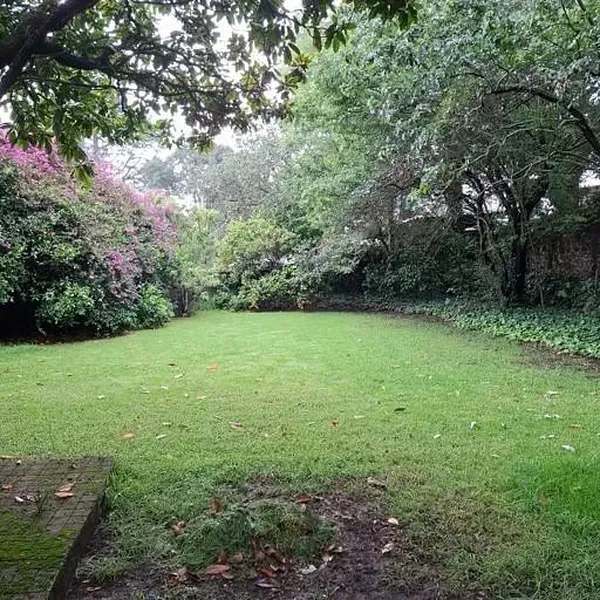 Foto 21