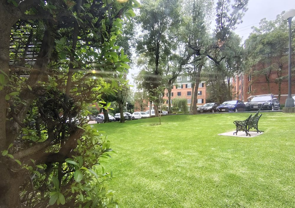 Foto 15