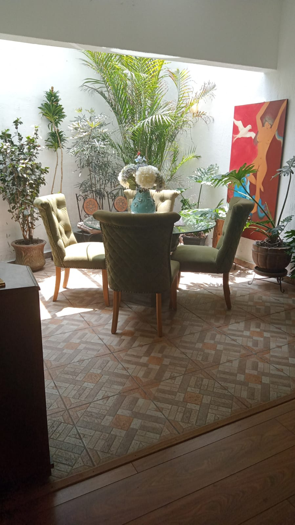 Foto 7