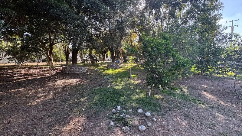 Foto 18