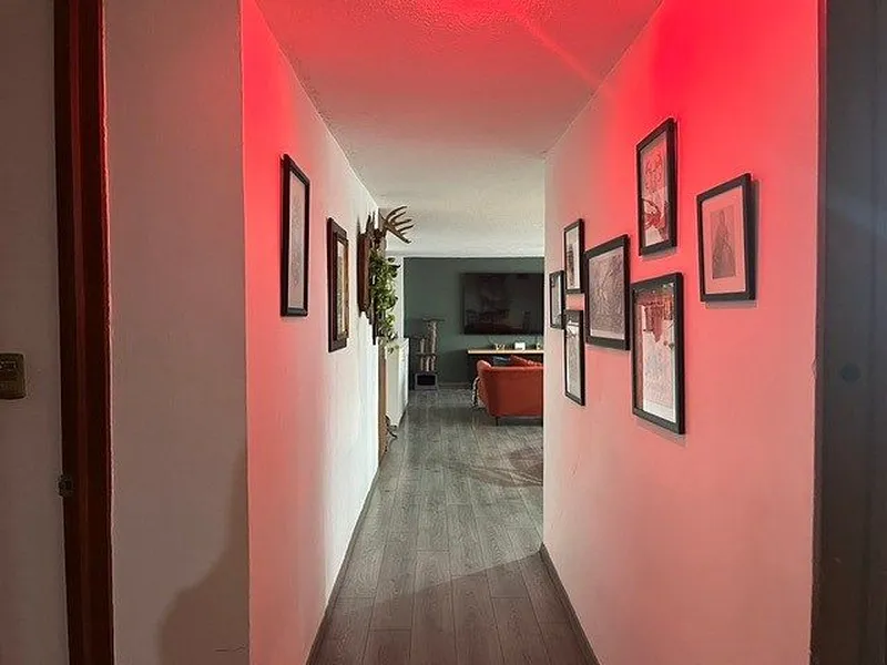 Foto 19