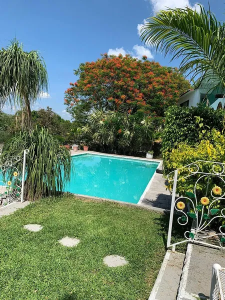 Foto 6