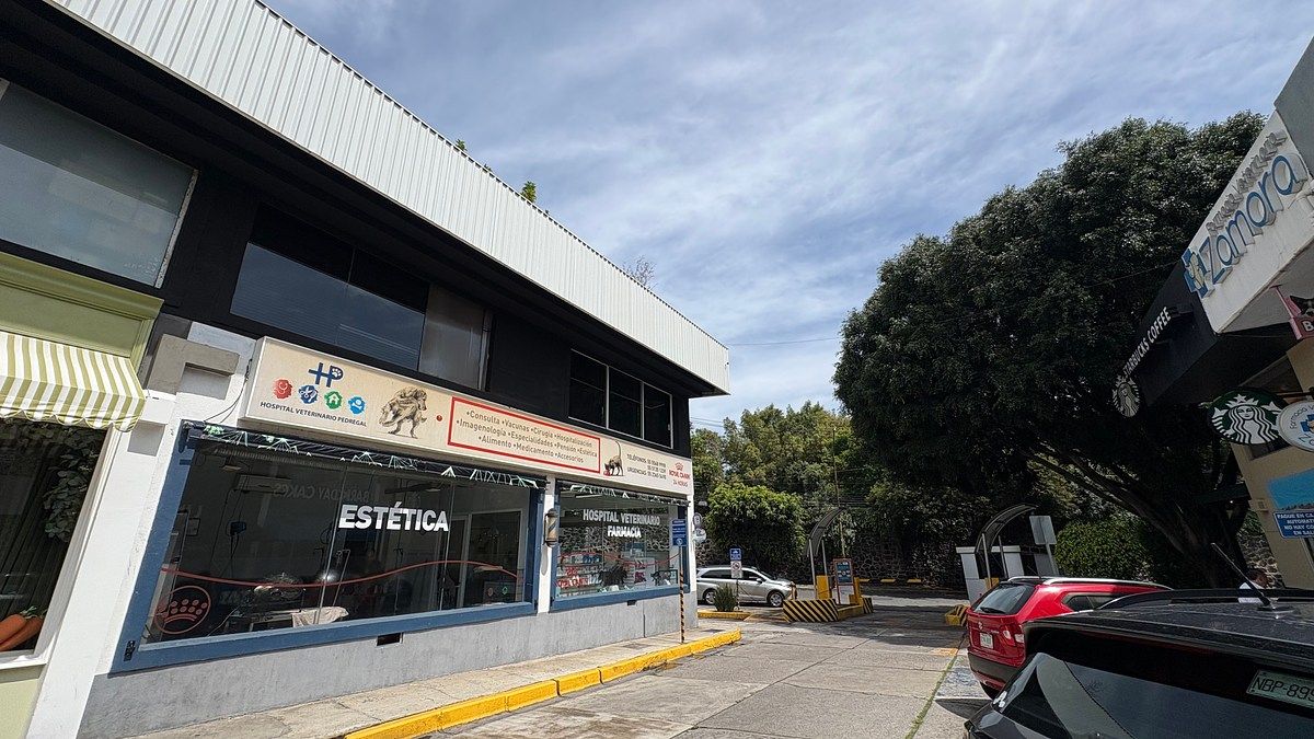 Foto 6