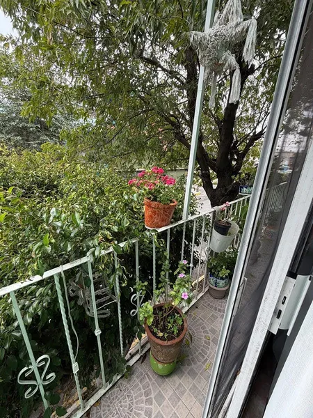 Foto 16