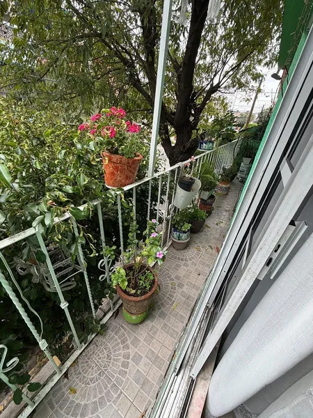 Foto 17