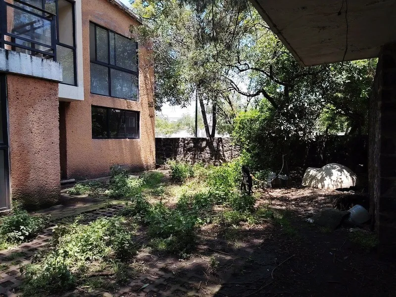 Foto 4