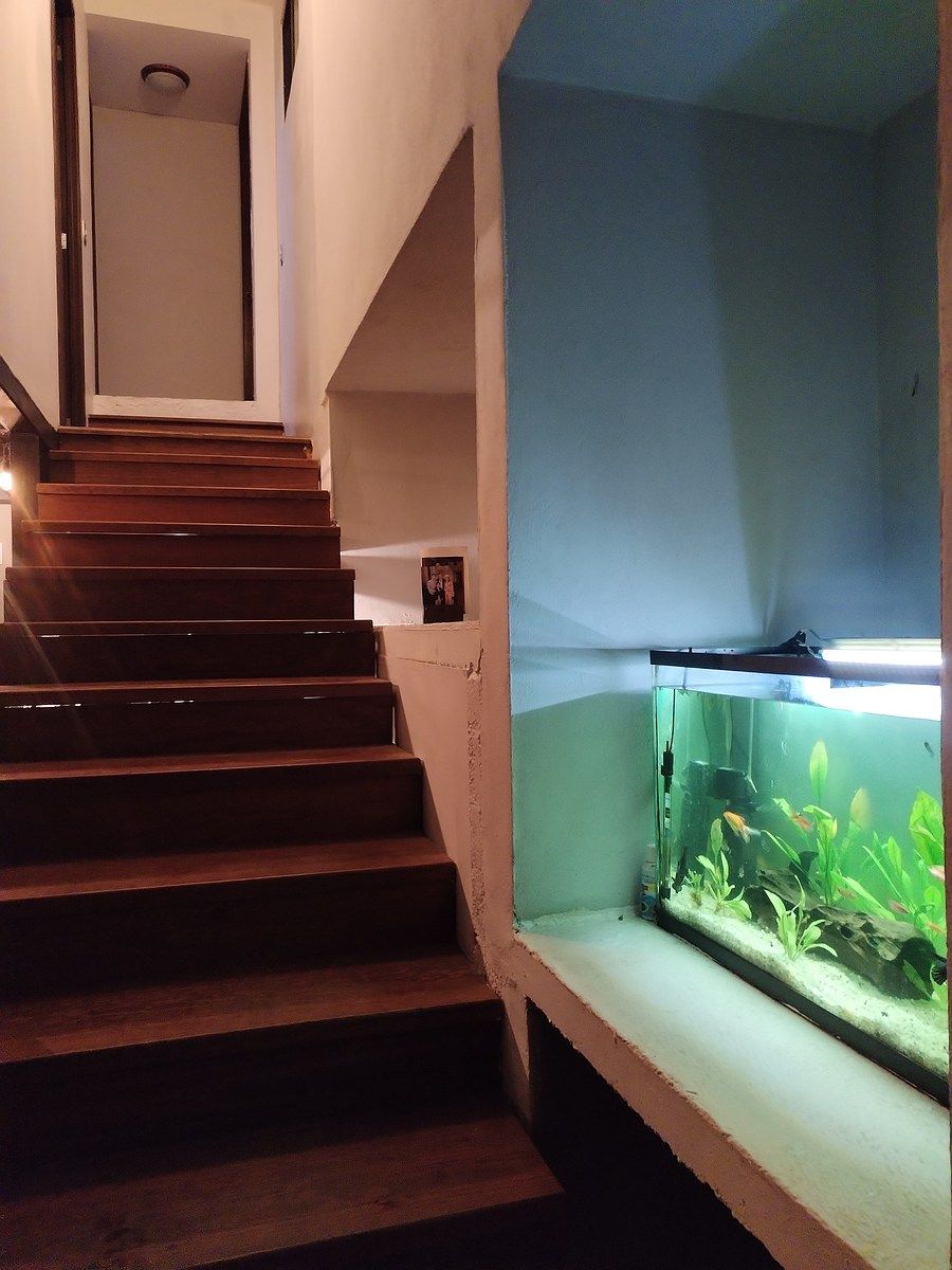 Foto 14