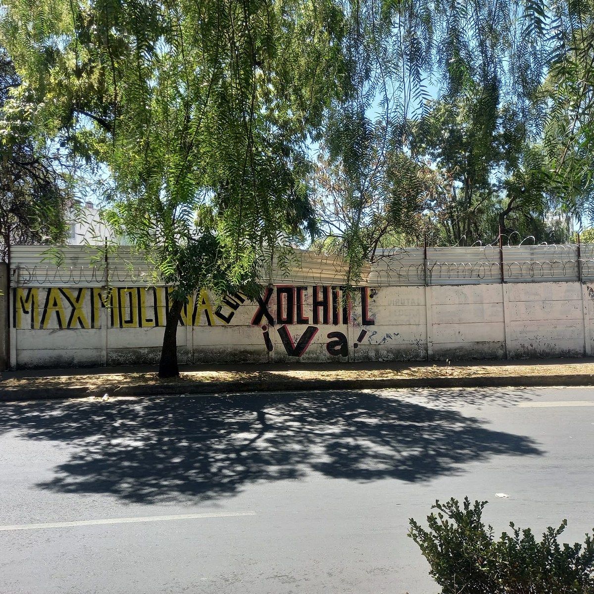 Foto 7