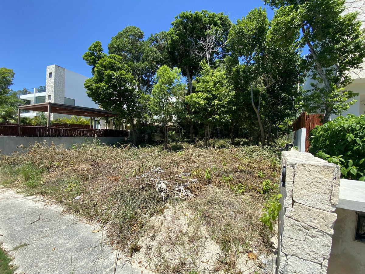 Foto 11