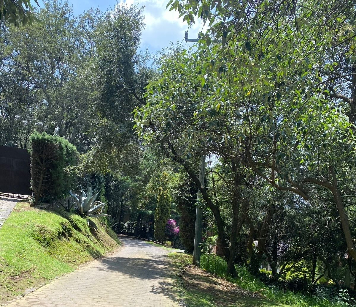 Foto 18