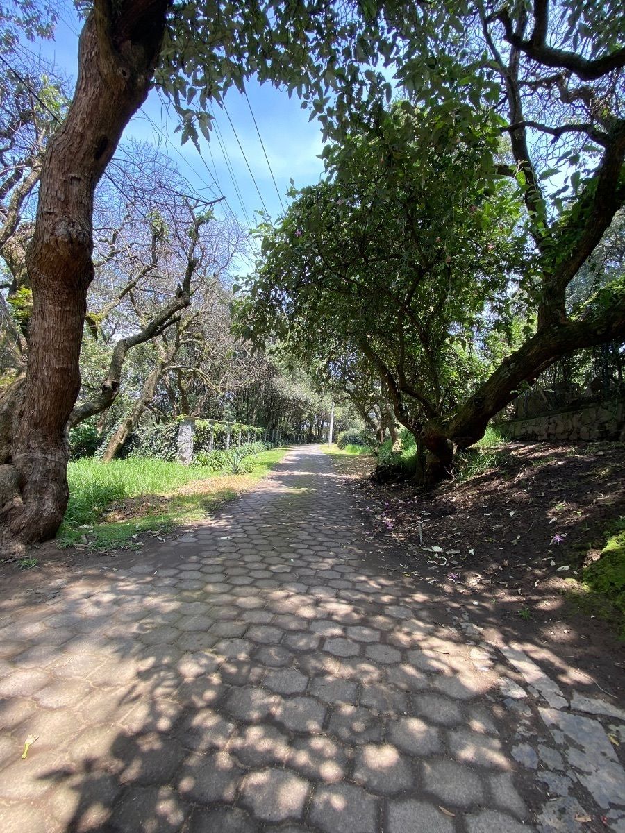 Foto 6