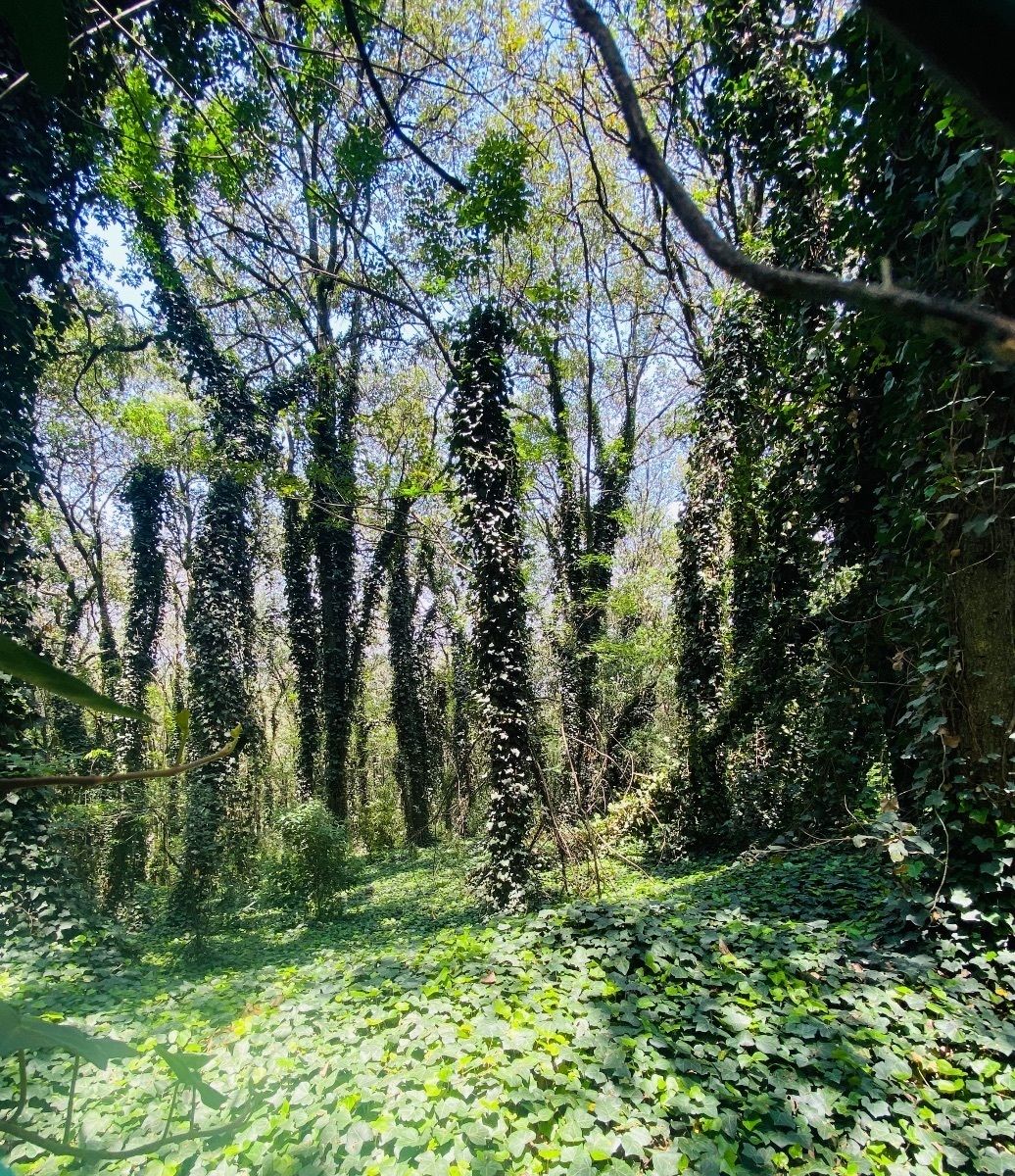 Lote en venta · Tlalpuente, Tlalpan, Ciudad de México