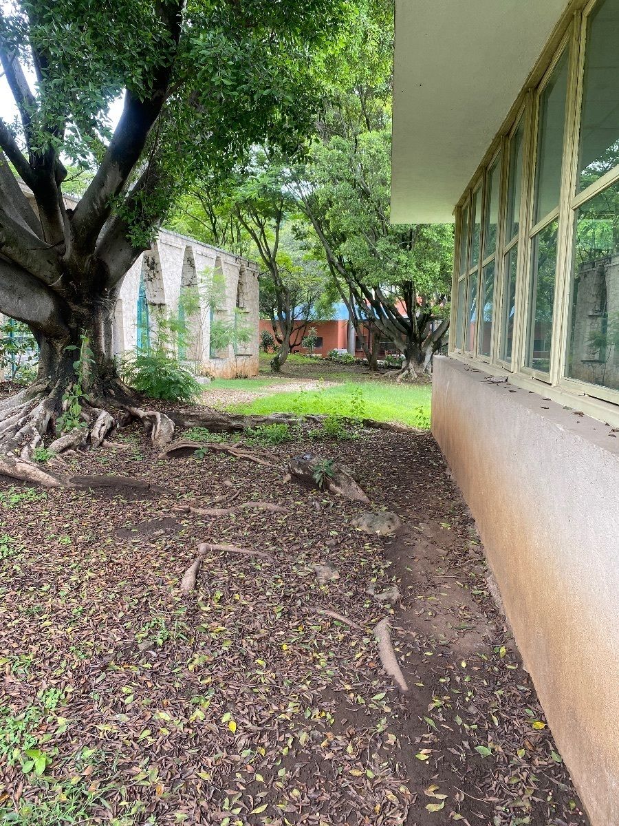 Foto 15