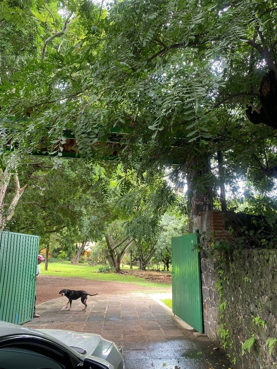 Lote en venta · Huilotepec, Tepoztlán, Morelos