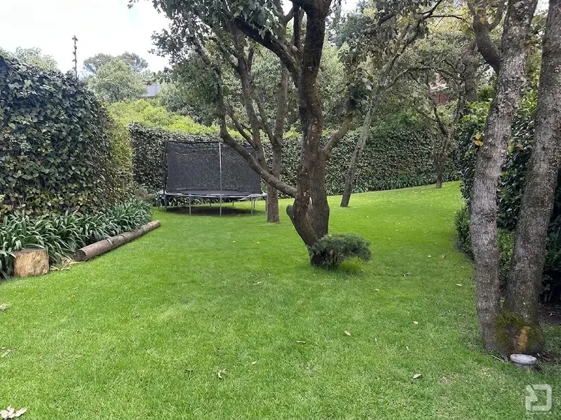 Foto 19