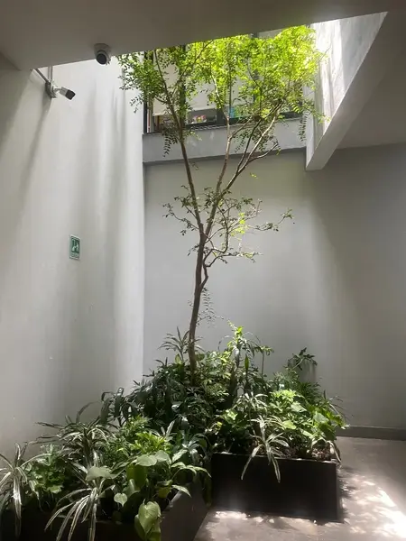 Foto 27