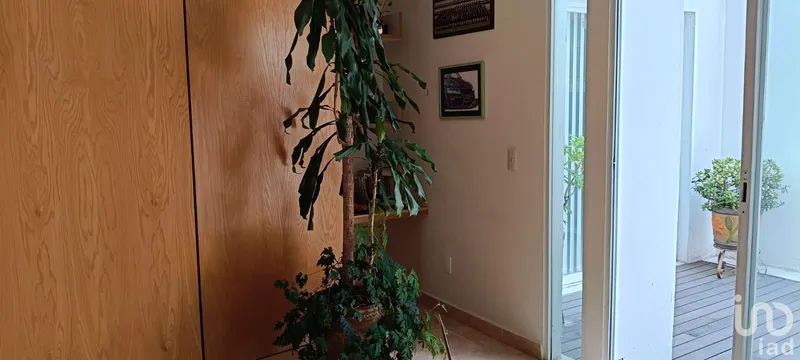 Foto 21