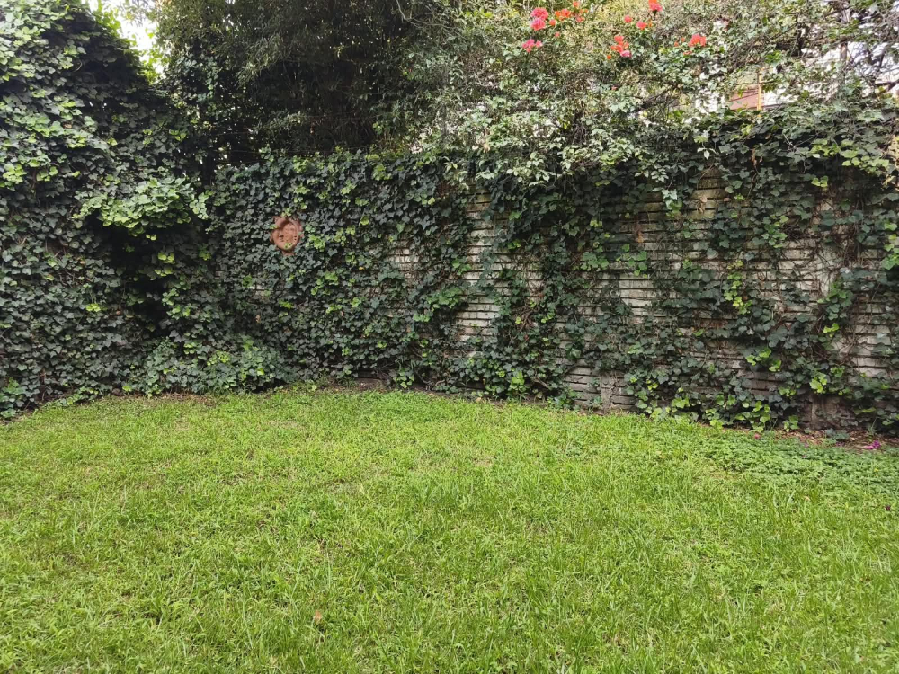 Foto 17