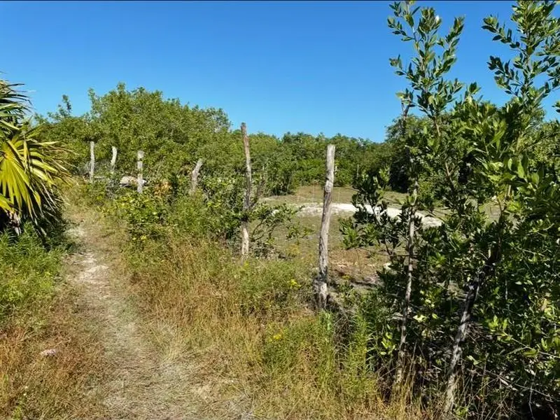 Foto 14