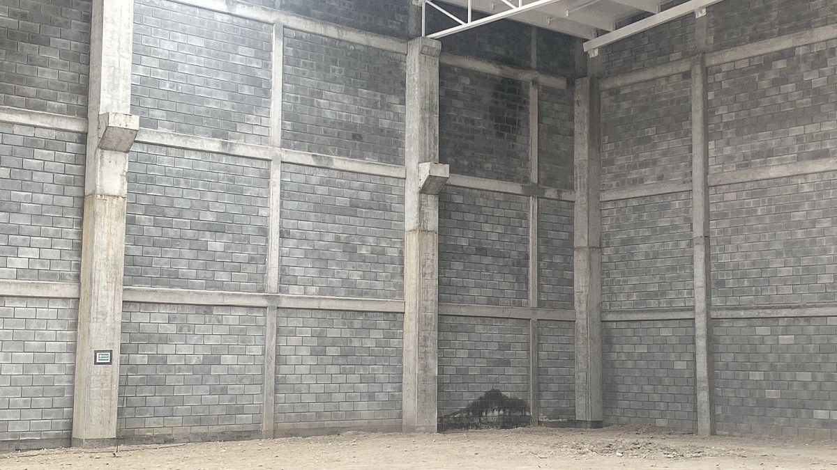 Foto 6