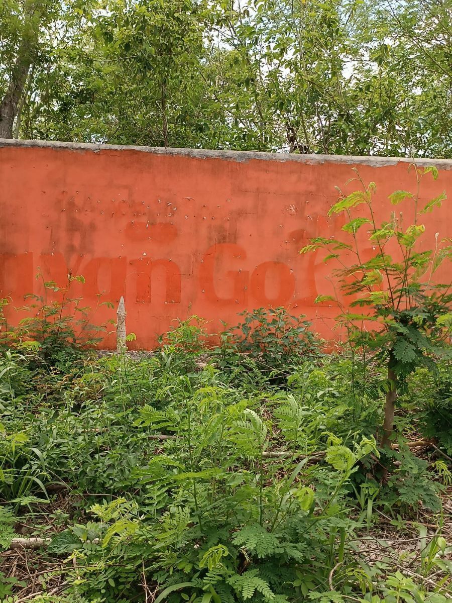 Foto 6