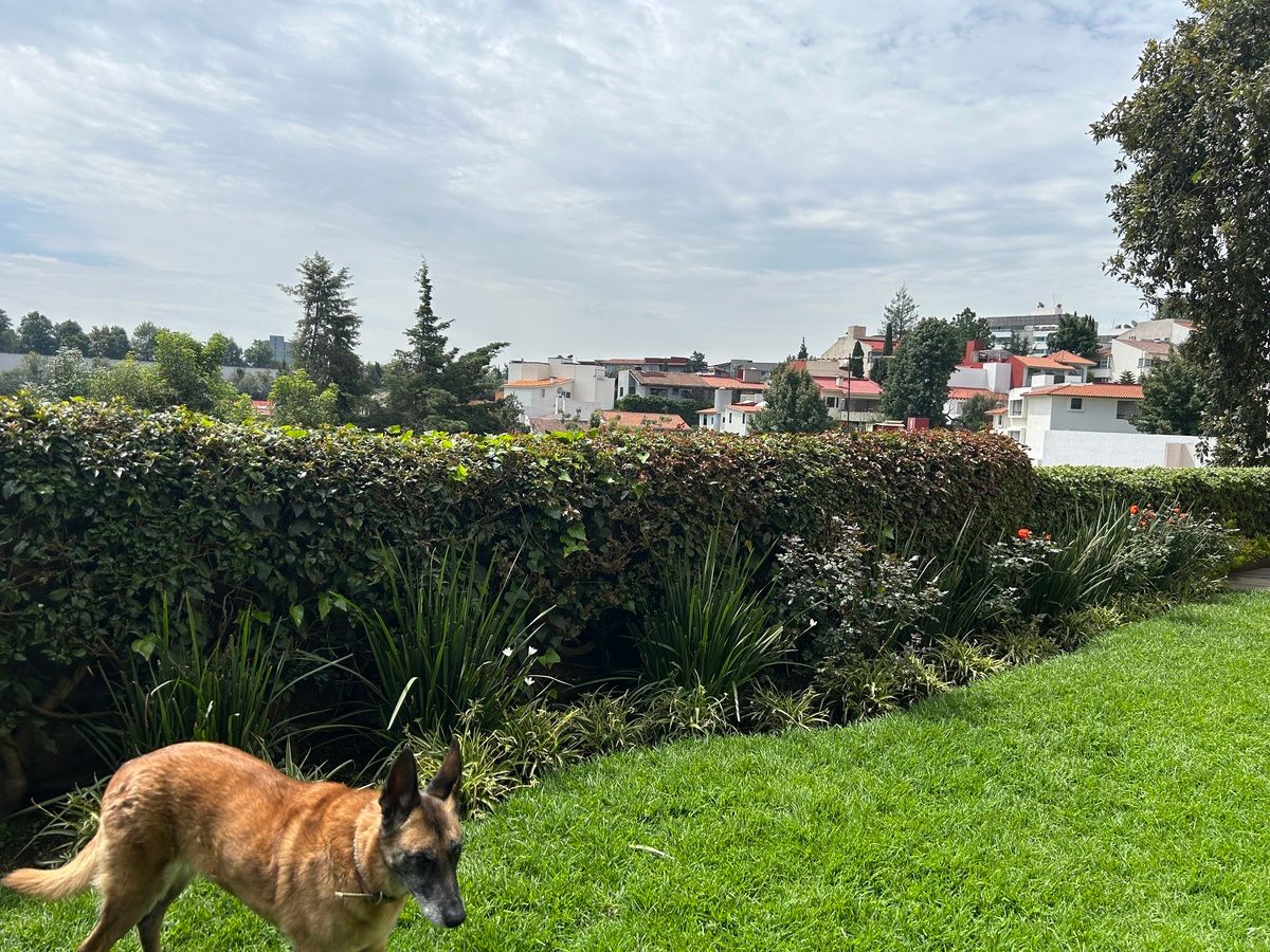Foto 17