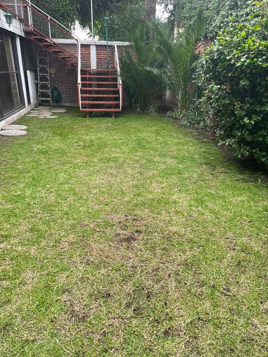 Foto 41