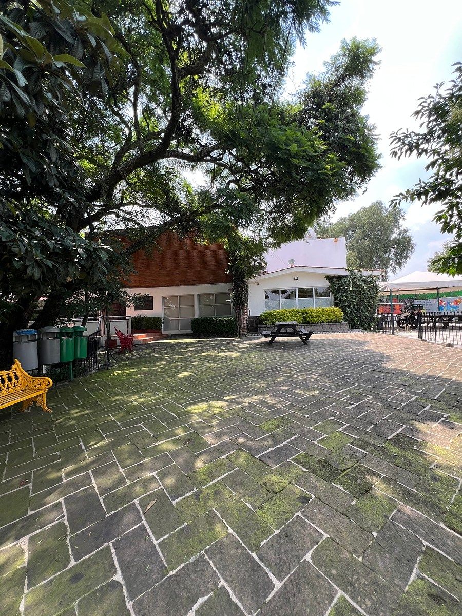 Foto 2