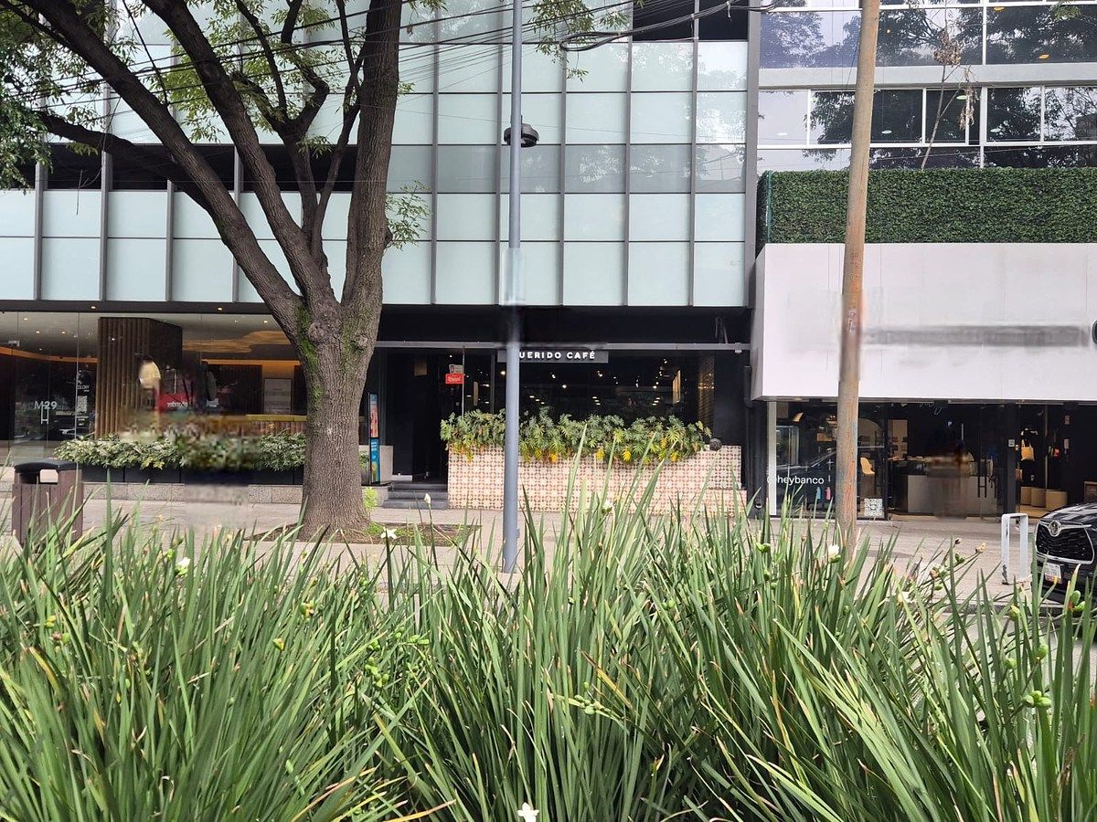Comercio en renta · Polanco V Sección, Polanco, Miguel Hidalgo, Ciudad de México