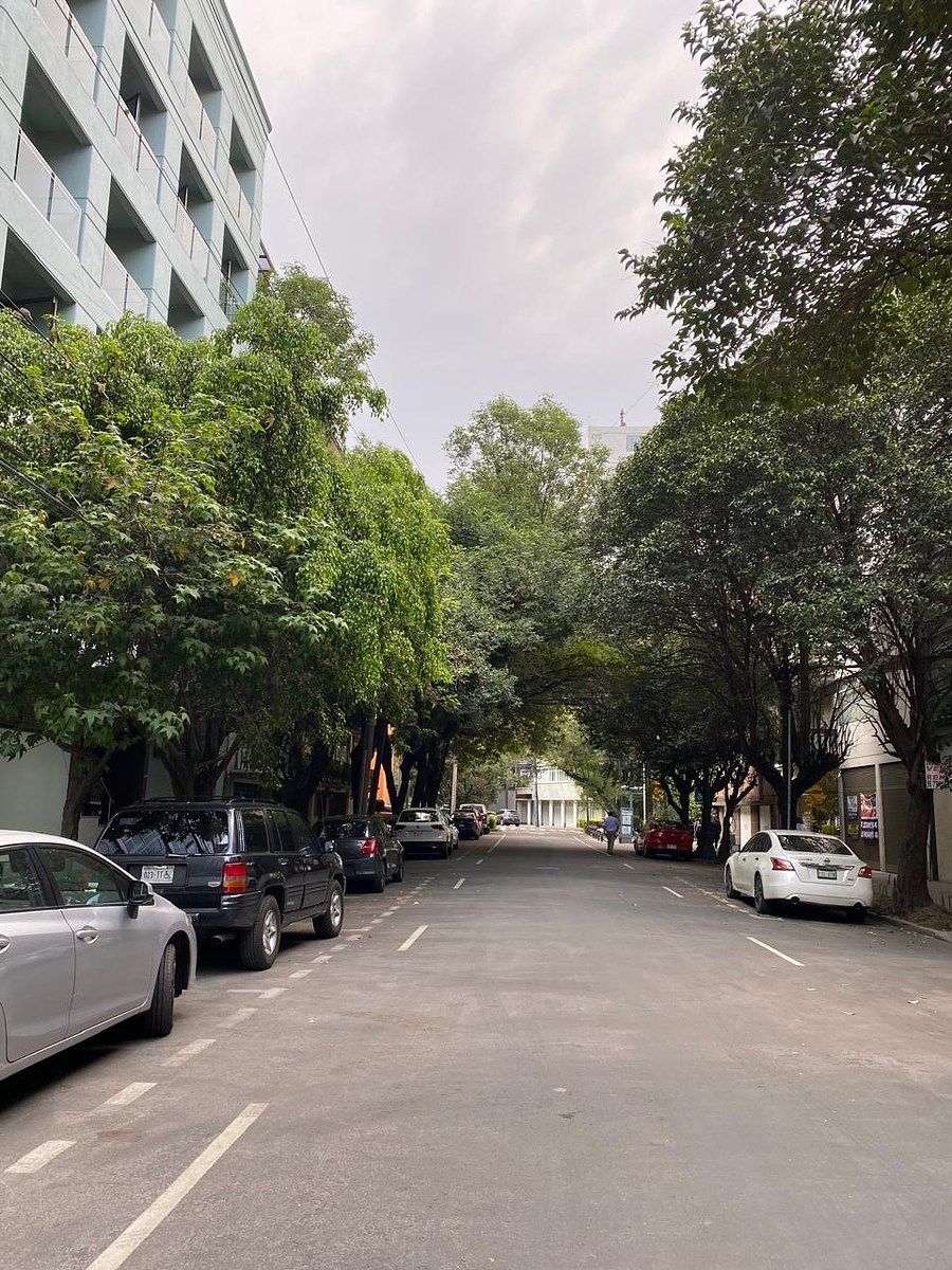 Departamento en renta · Bosque de Chapultepec I Sección, Miguel Hidalgo, Ciudad de México