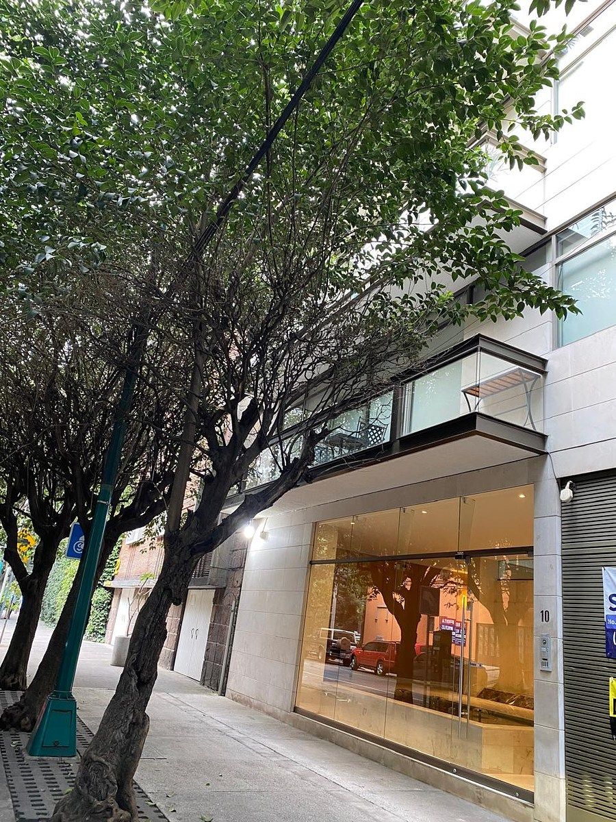 Departamento en renta · Bosque de Chapultepec I Sección, Miguel Hidalgo, Ciudad de México