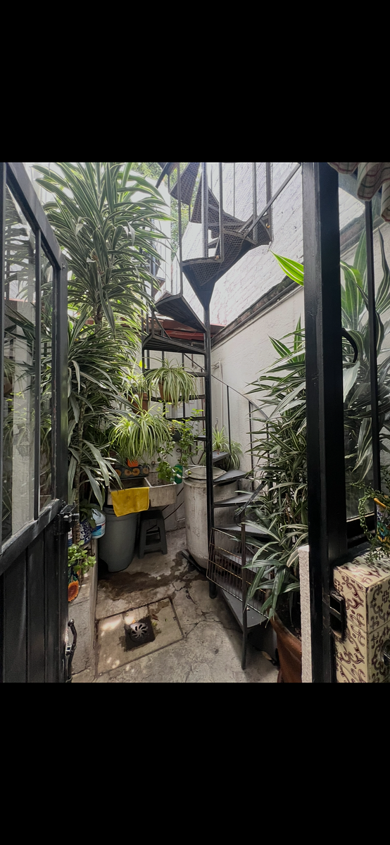 Foto 12