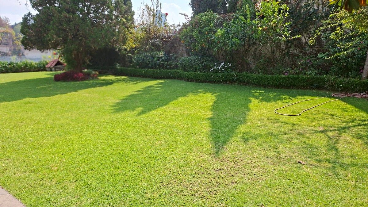 Foto 11