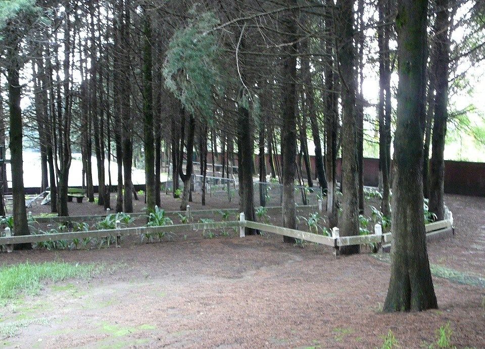 Foto 9