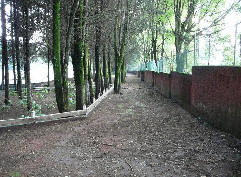 Foto 13