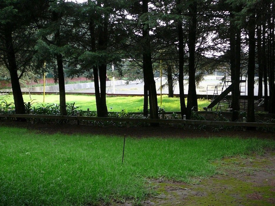 Foto 8