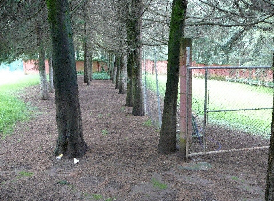 Foto 7