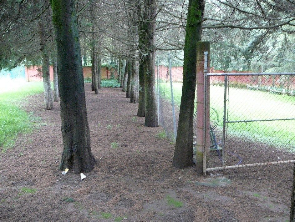 Foto 6