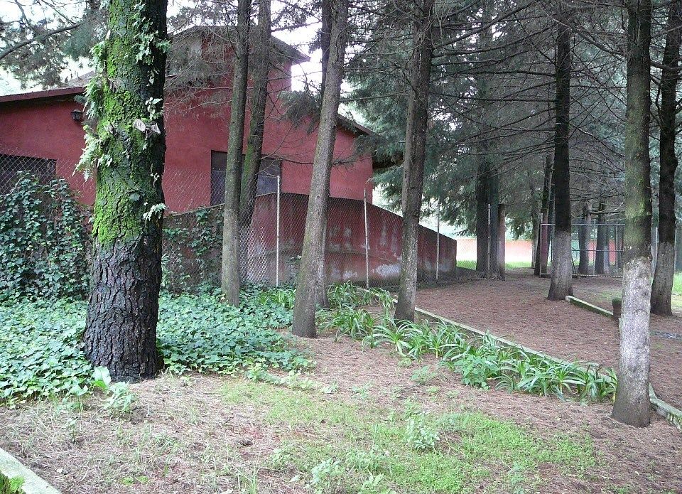 Foto 14