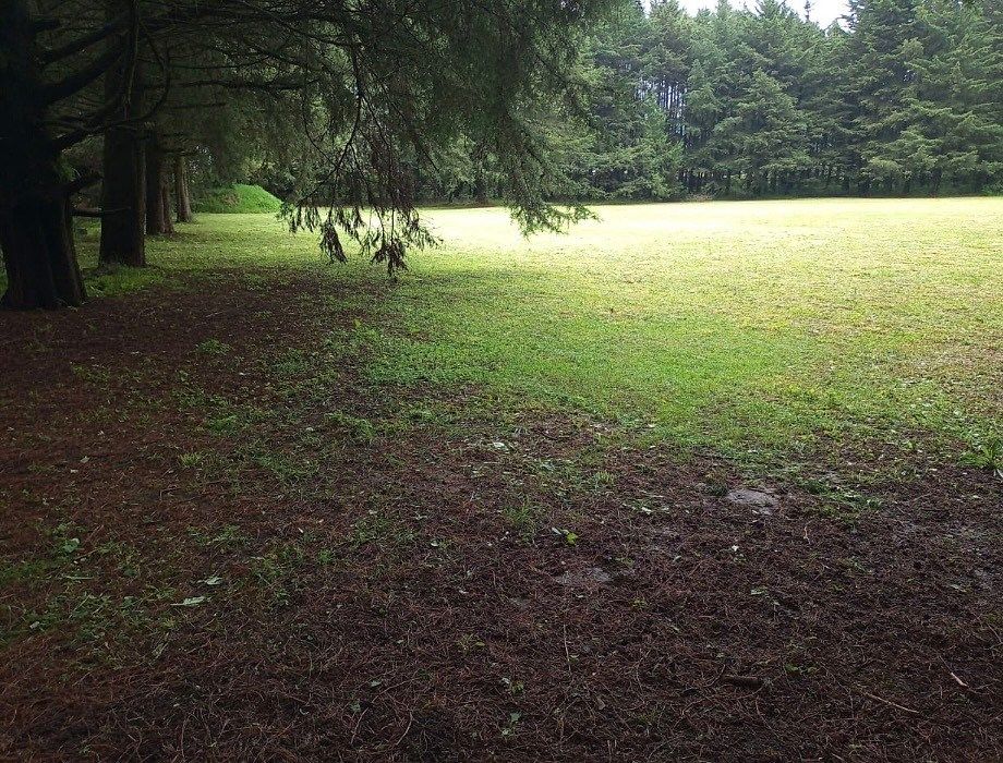 Foto 14