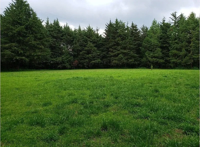 Lote en venta · Hacienda San Martín, Ocoyoacac, Estado de México