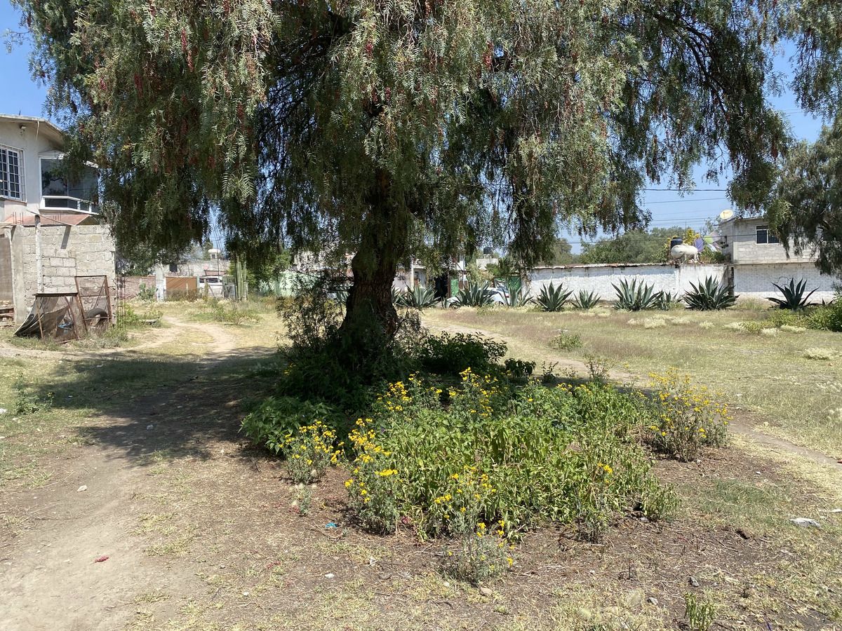 Foto 38
