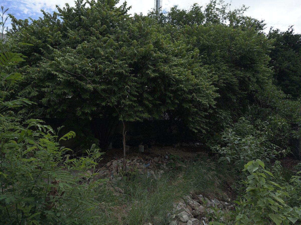 Foto 17